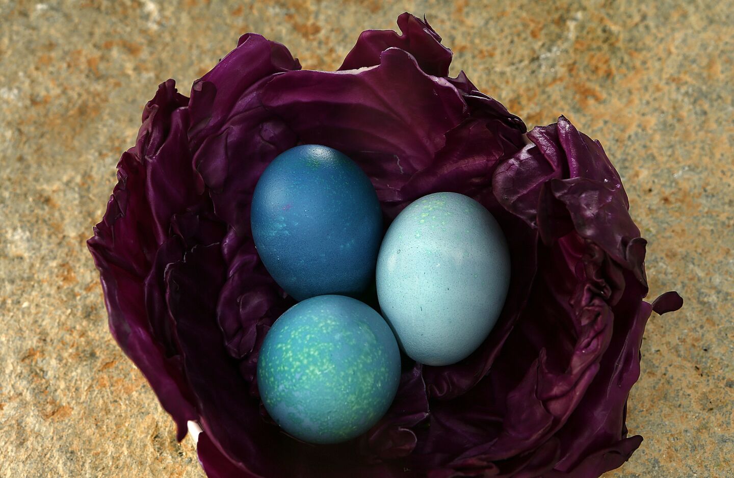 Red cabbage, blue eggs