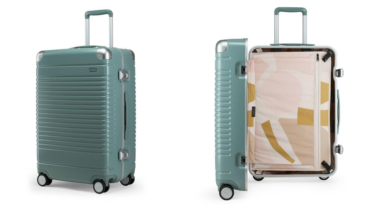 Airport Cover for Bag Custom Size Lv Bag Coat Travel -  Israel