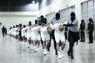 A line of masked men in uniform have their hands on a line of men, their shaven heads bowed, in white shirts and shorts