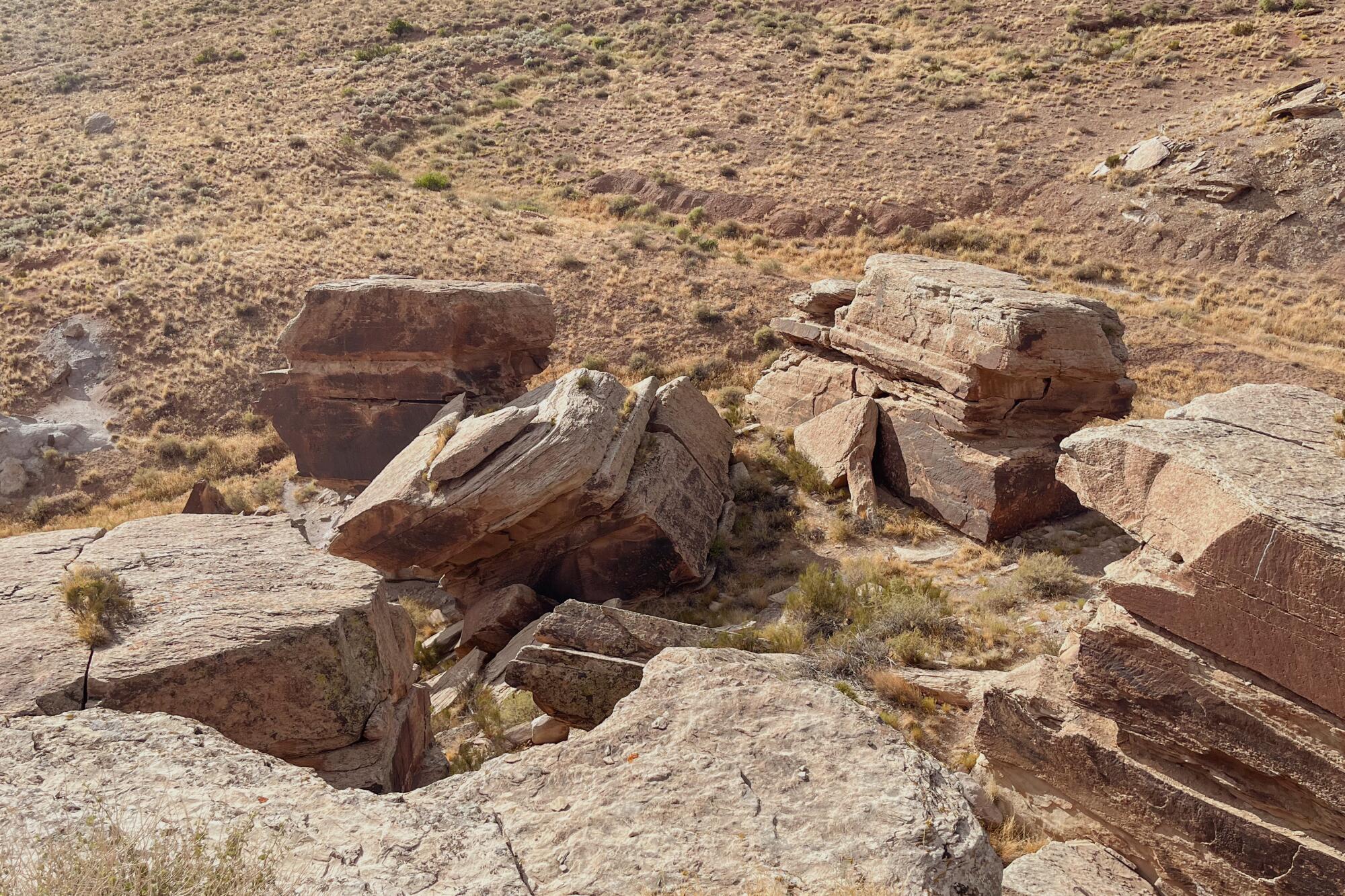 Rocks with petroglyphs on them at Newspaper Rock inside of Petrified Forest National Park.
