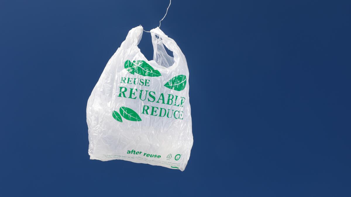 Transparent bags are for recycling, News