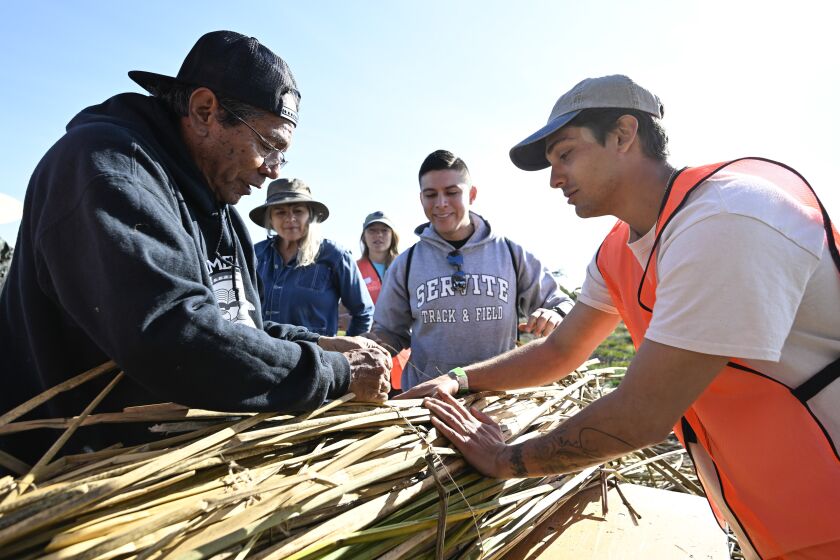 Stan Rodriguez, left, shows John Araujo, center, and Anthony Isham how to make a Tule boat at Kendall-Frost Mission Bay Marsh Reserve as part of San Diego Community Climate Action Day Feb. 4, 2023 in San Diego. (Photo by Denis Poroy)