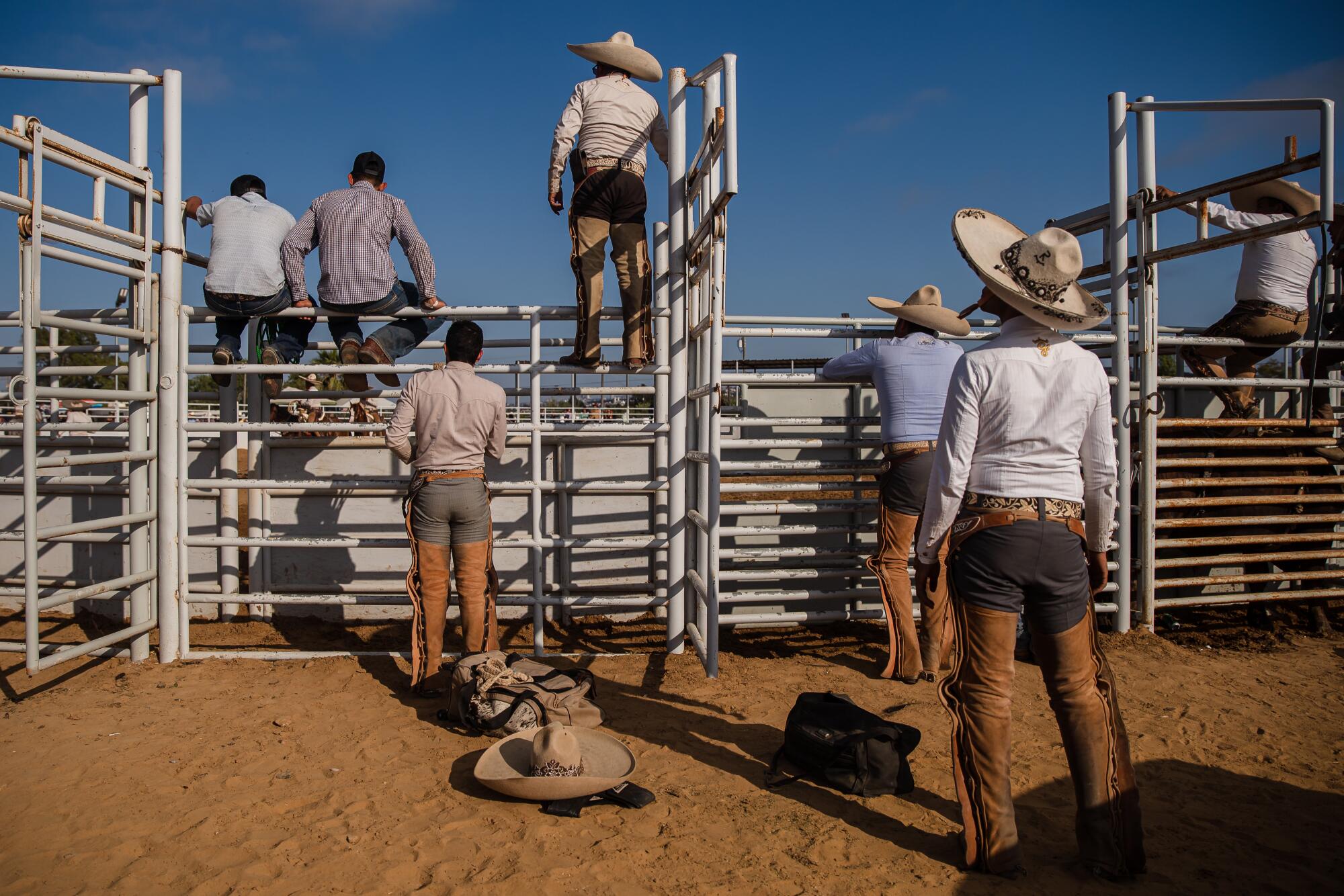 Men watch the charrería competition at Rancho La Laguna in San Ysidro.