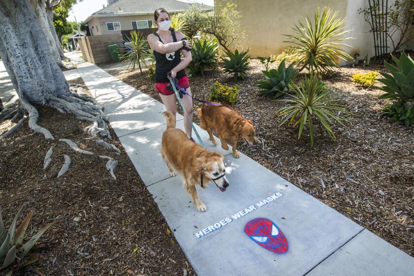 CULVER CITY, CA-MAY 14, 2020: Lindsay Rojas, 28, owner of Lindsay's Dog Walks in Culver City, walks Gomez, left, and Nikki, brother and sister Golden Retrievers, on Le Bourget Ave. in Culver City. The dogs belong to an elderly woman named Riya who has multiple sclerosis. During the coronavirus pandemic, experts warn that dogs should not interact with other dogs outside their immediate family. (Mel Melcon/Los Angeles Times)