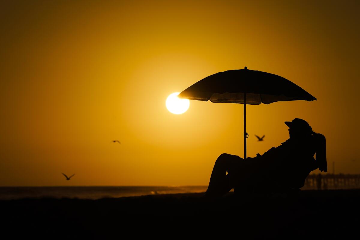 A person seated under a beach umbrella is silhouetted by the setting sun. 