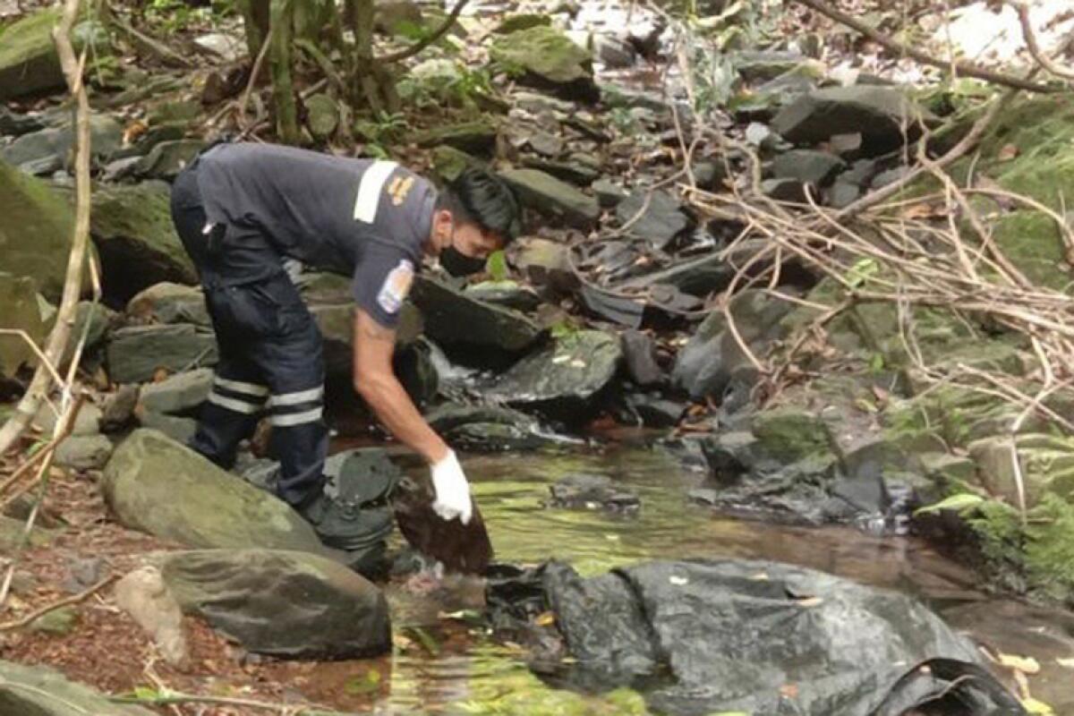 An officer inspects the spot where a Swiss woman was found dead in Phuket, Thailand, on Thursday.