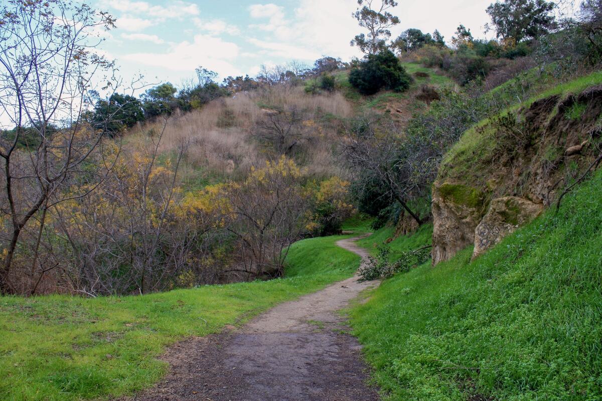 The trails in Elysian Park can still provide moments of peace and quiet