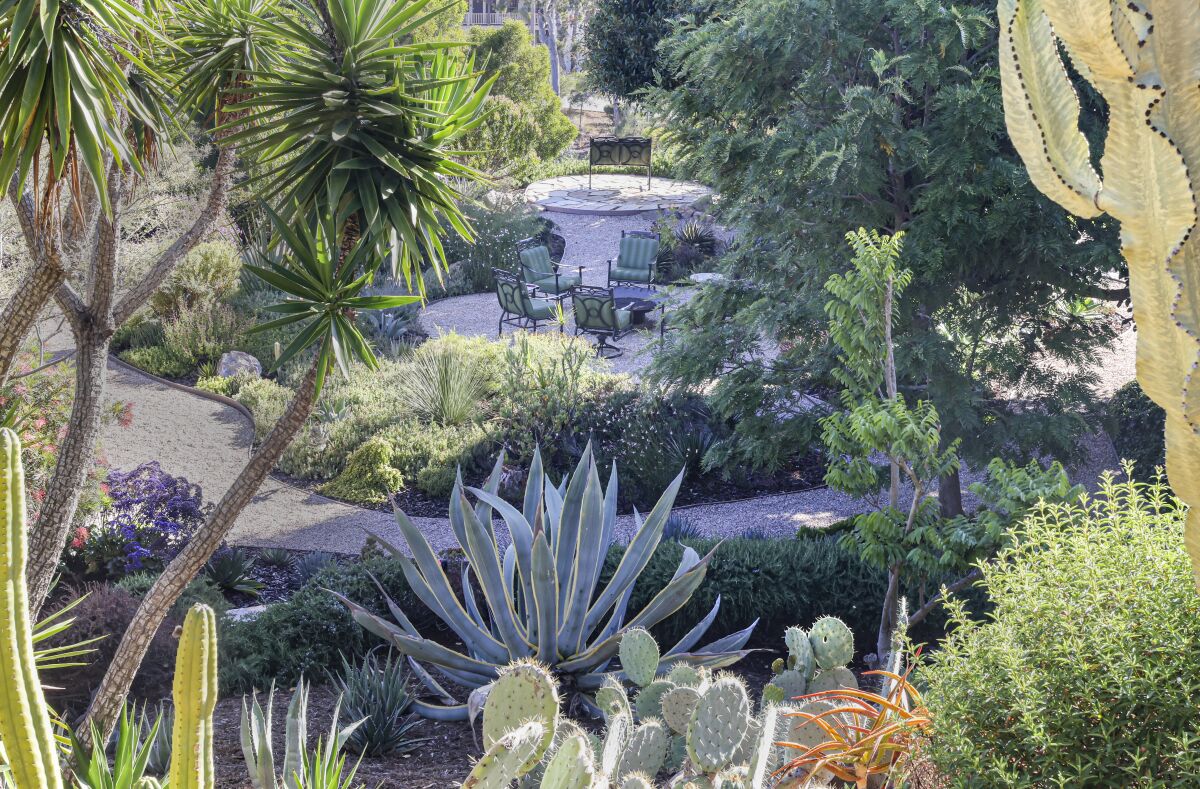 A garden view through cactus, aloe and other drought-tolerant plants.