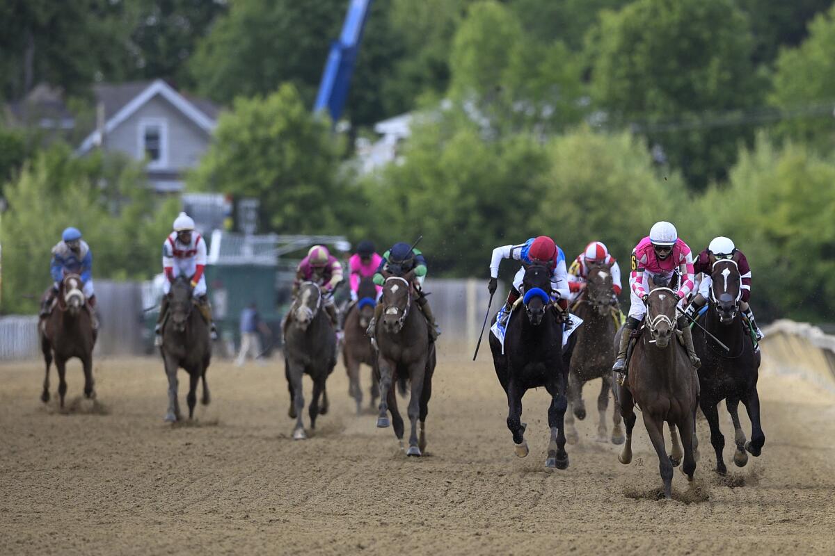 Rombauer, second from right, leads the pack before winning the Preakness Stakes on Saturday.