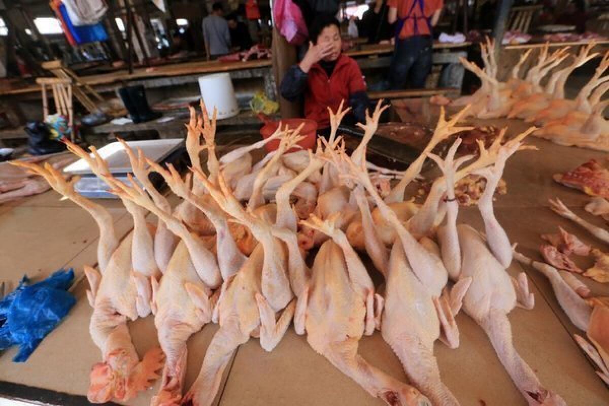 Live poultry markets are suspected as the source of most of the confirmed cases of H7N9 infection in China. Chinese health officials report that the death toll from the bird flu outbreak is likely to rise.