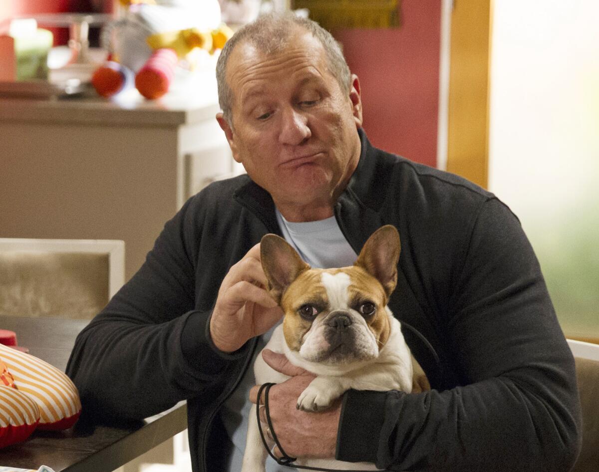 "Modern Family" is popular among the young and affluent. Here, Ed O'Neill is in a scene from the sitcom.