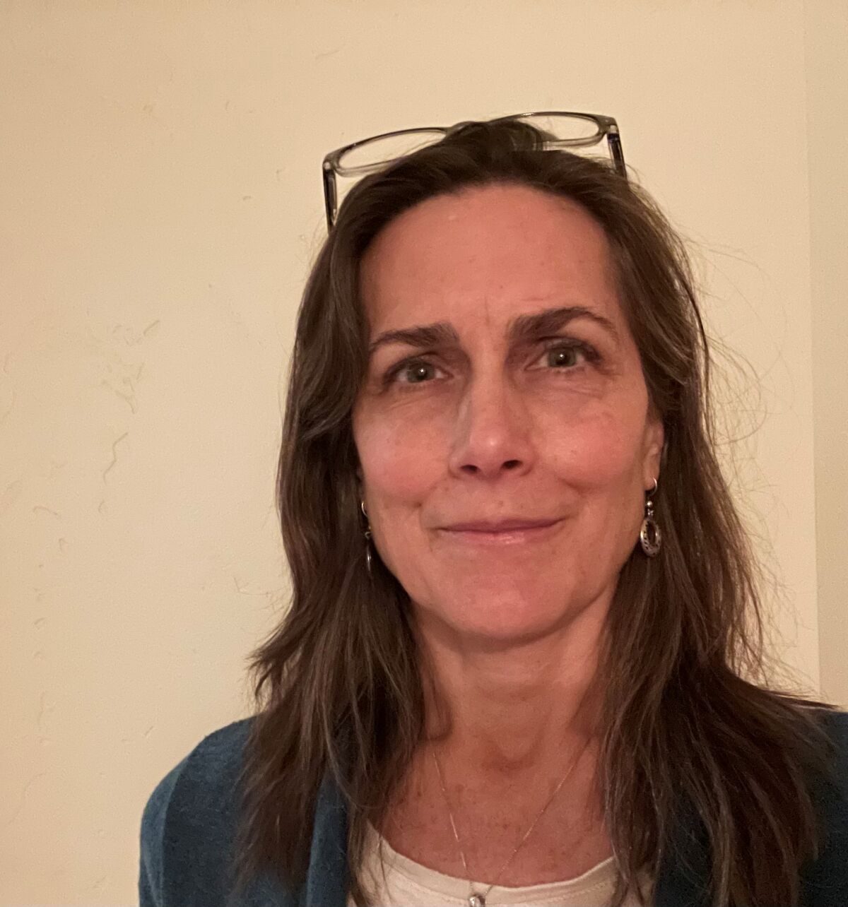 Shannon Eddy, executive director of the Large-scale Solar Assn.