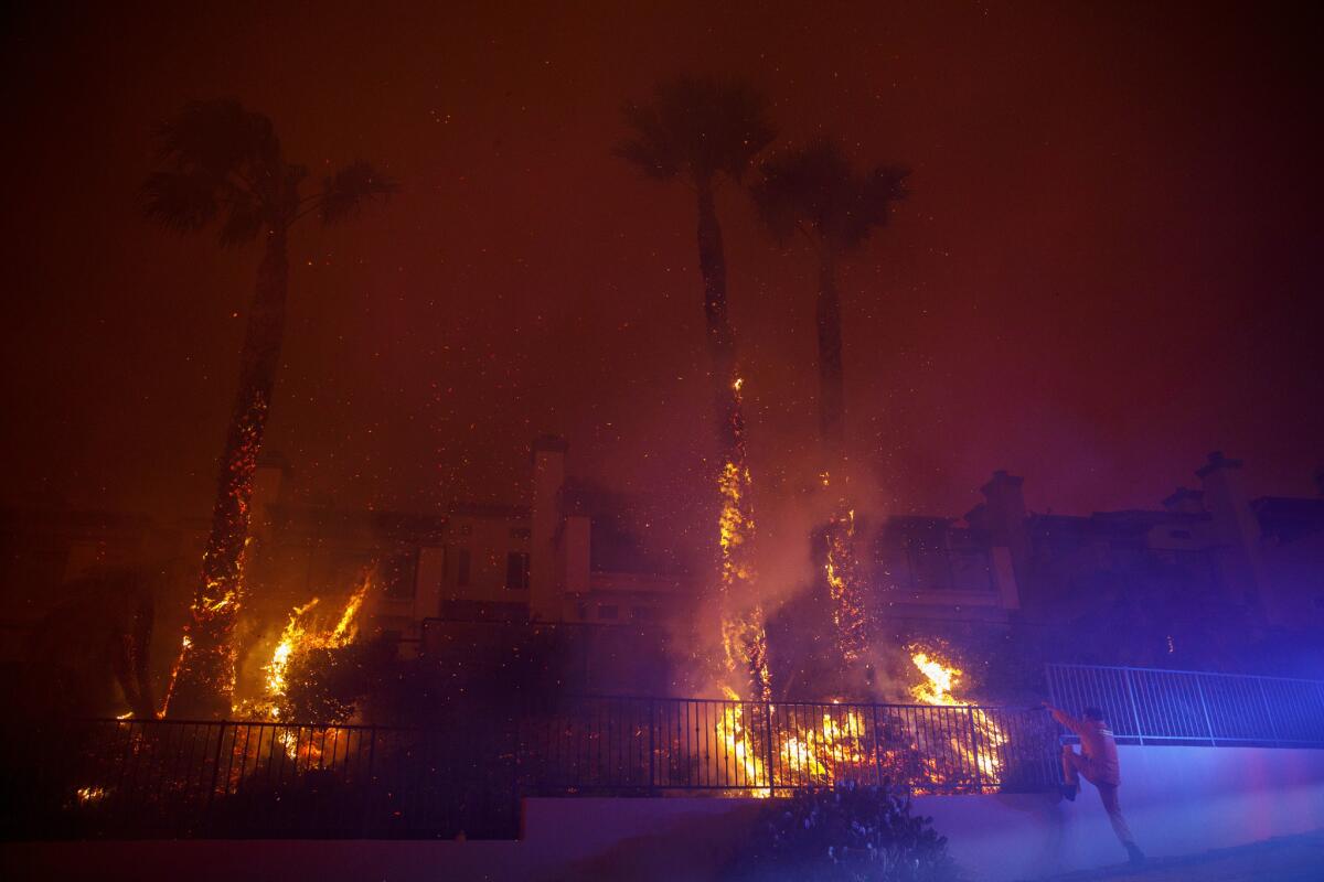 An L.A. County firefighter climbs a railing with a shovel to try to contain burning palm trees during the Woolsey Fire in Malibu.