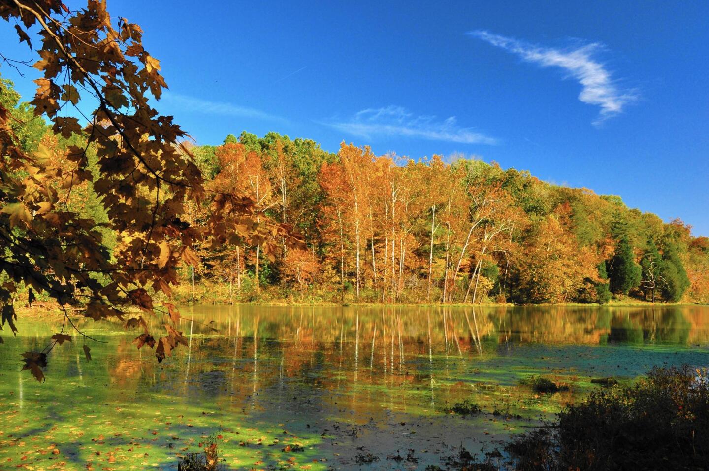 Trees cloaked in autumn colors surround Spring Mill Lake in Indiana’s Spring Mill State Park.
