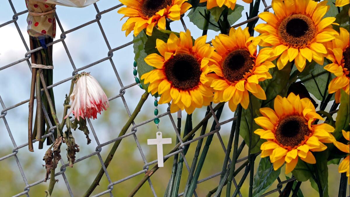 Crosses and flowers hang from a fence near Marjory Stoneman Douglas High School in Florida.