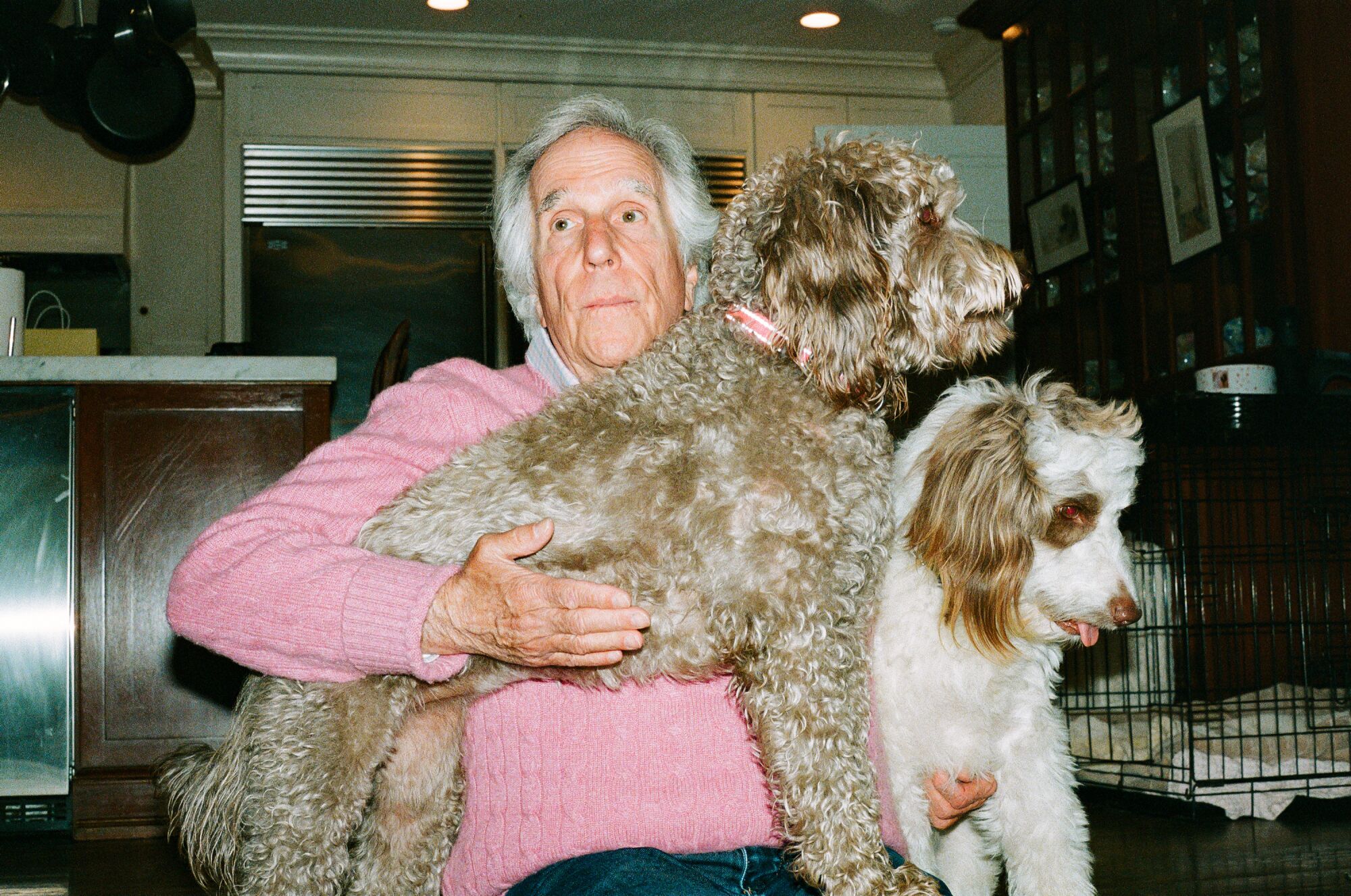 A man hugs two fluffy, medium dogs