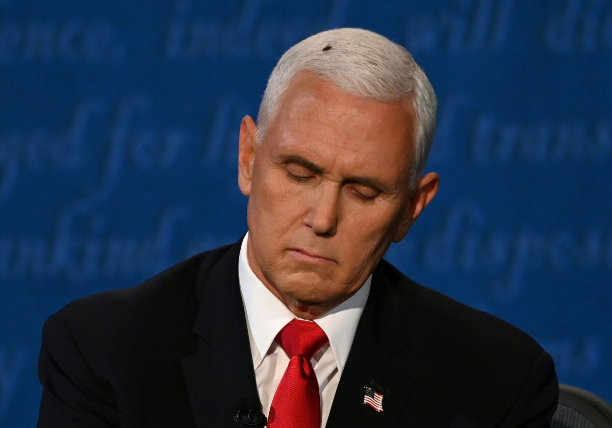 A fly sits on the head of  Vice President Mike Pence