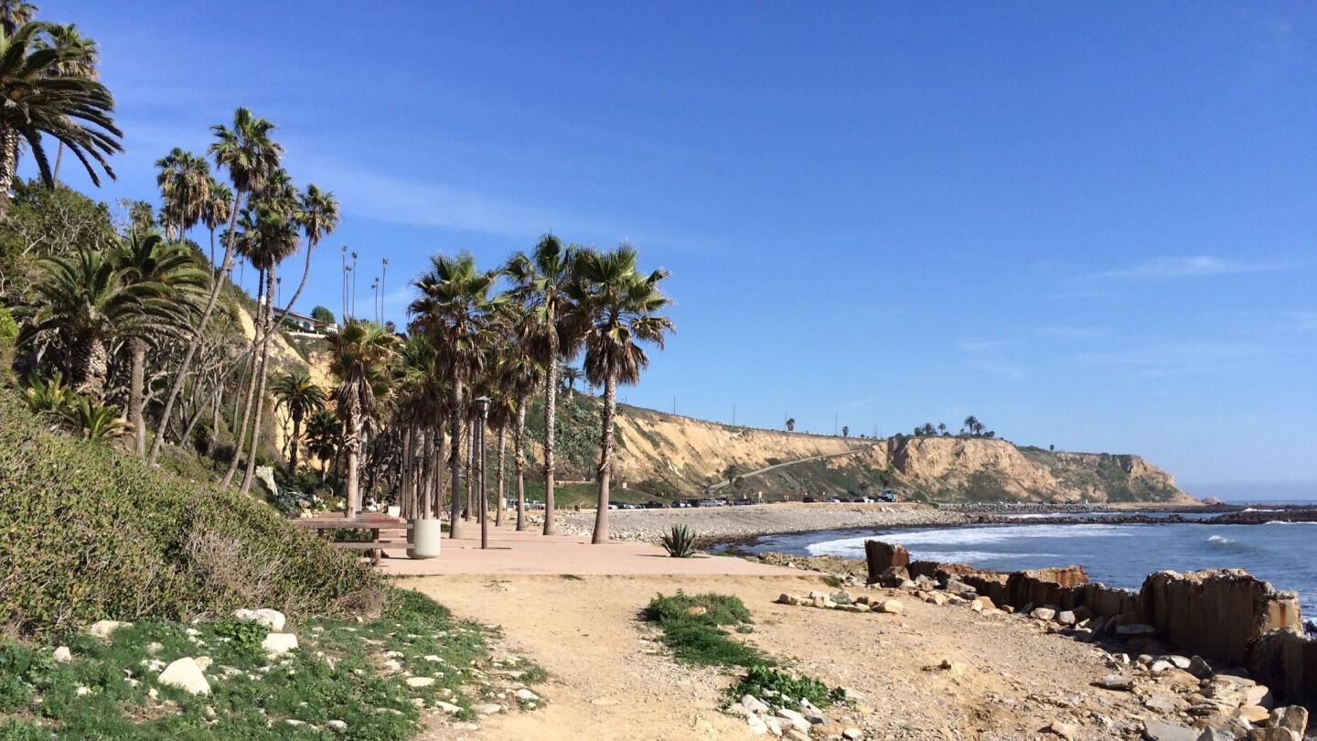Another perfect picnic spot in San Pedro.