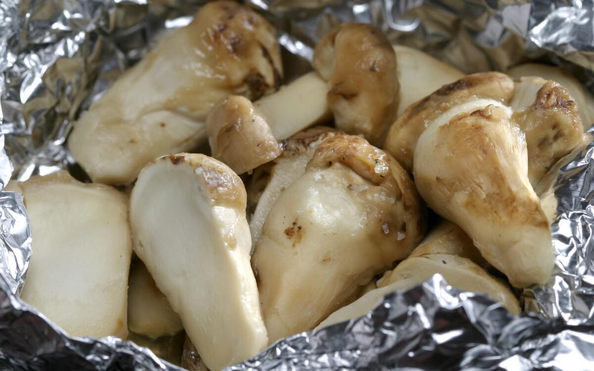 Grilled matsutake mushrooms