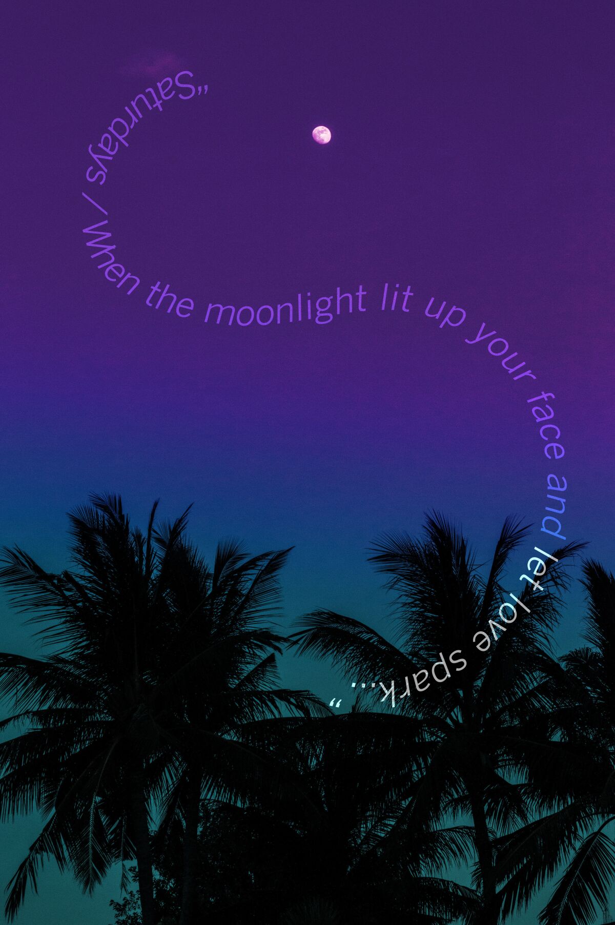 Palm trees with lyrics from “Saturdays” by Twin Shadow, featuring Haim.