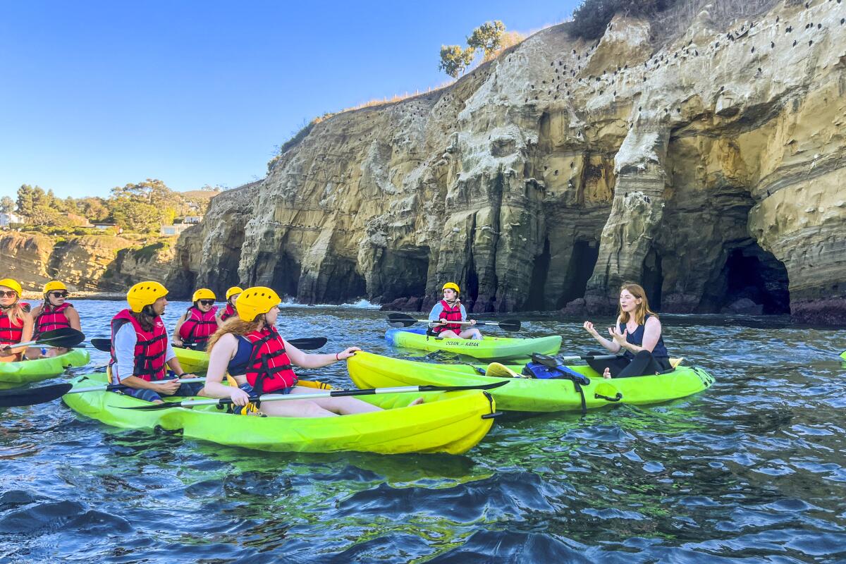Kayak tours begin at La Jolla Shores, proceed to the sea caves near La Jolla Cove, then return to the shores.