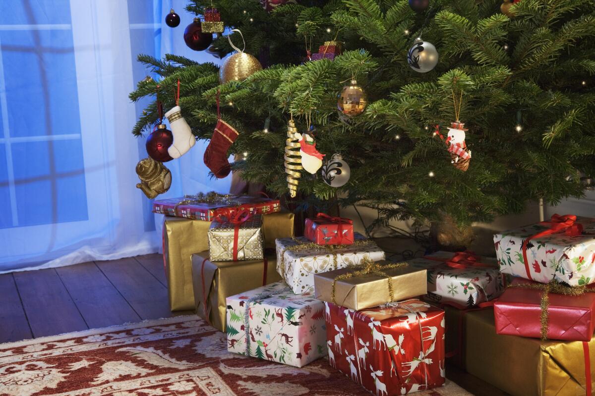 Wrapped presents lie under a decorated Christmas tree. 