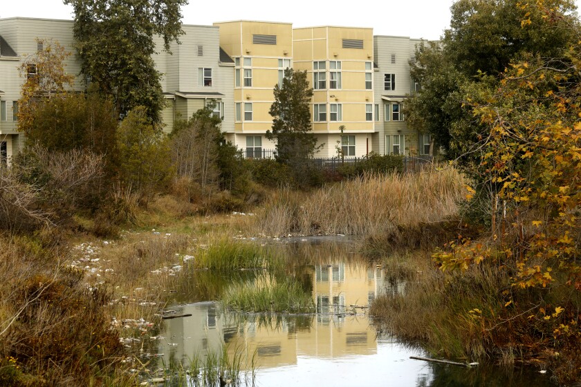 A housing development by a creek