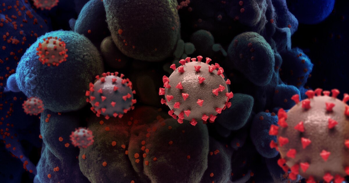 ‘Double mutant’ coronavirus variant found in California