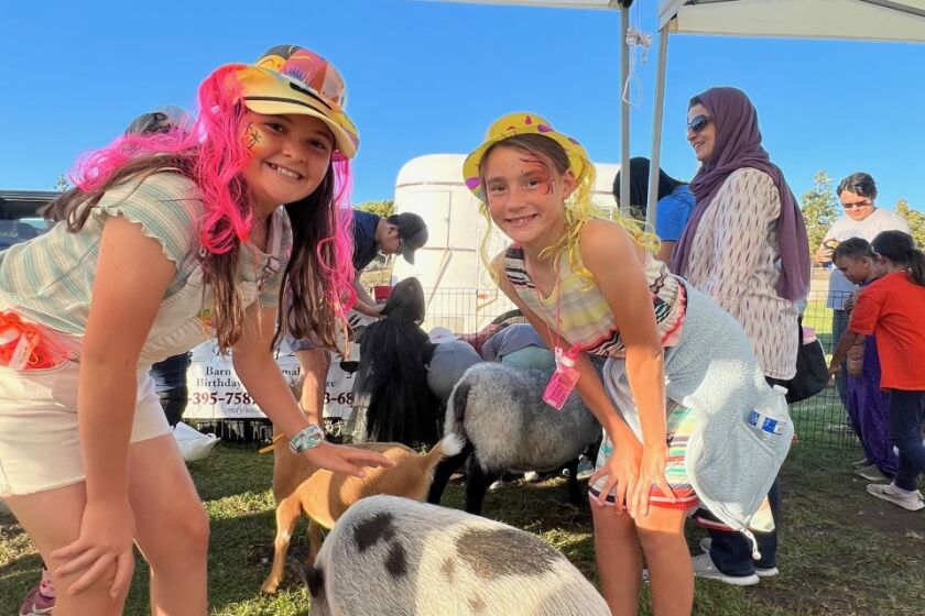 Sage Canyon students enjoy a petting zoo at the school carnival.