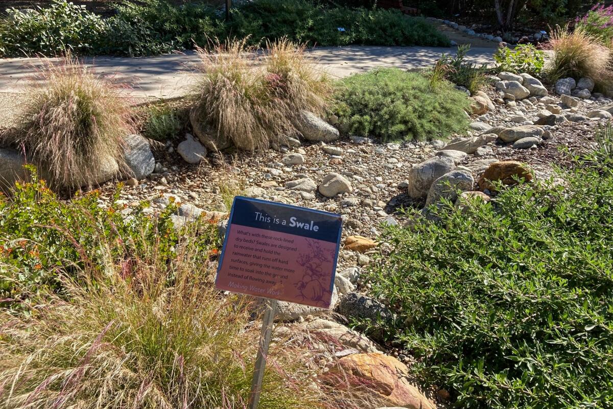 A swale at the California Botanic Garden's Center for Sustainable Gardening.