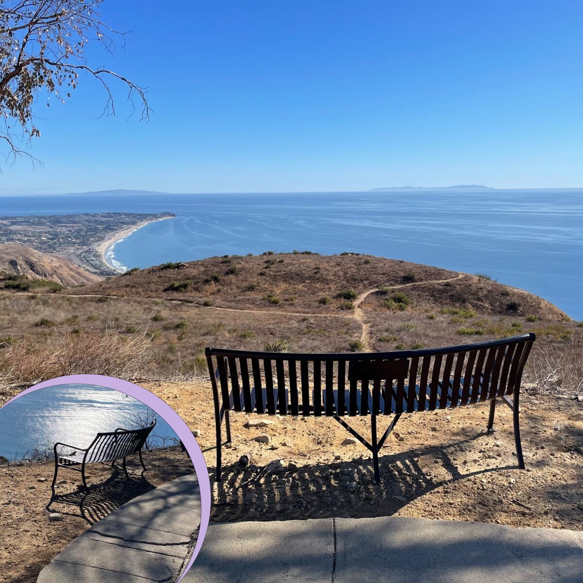 A bench overlooking the Pacific Ocean
