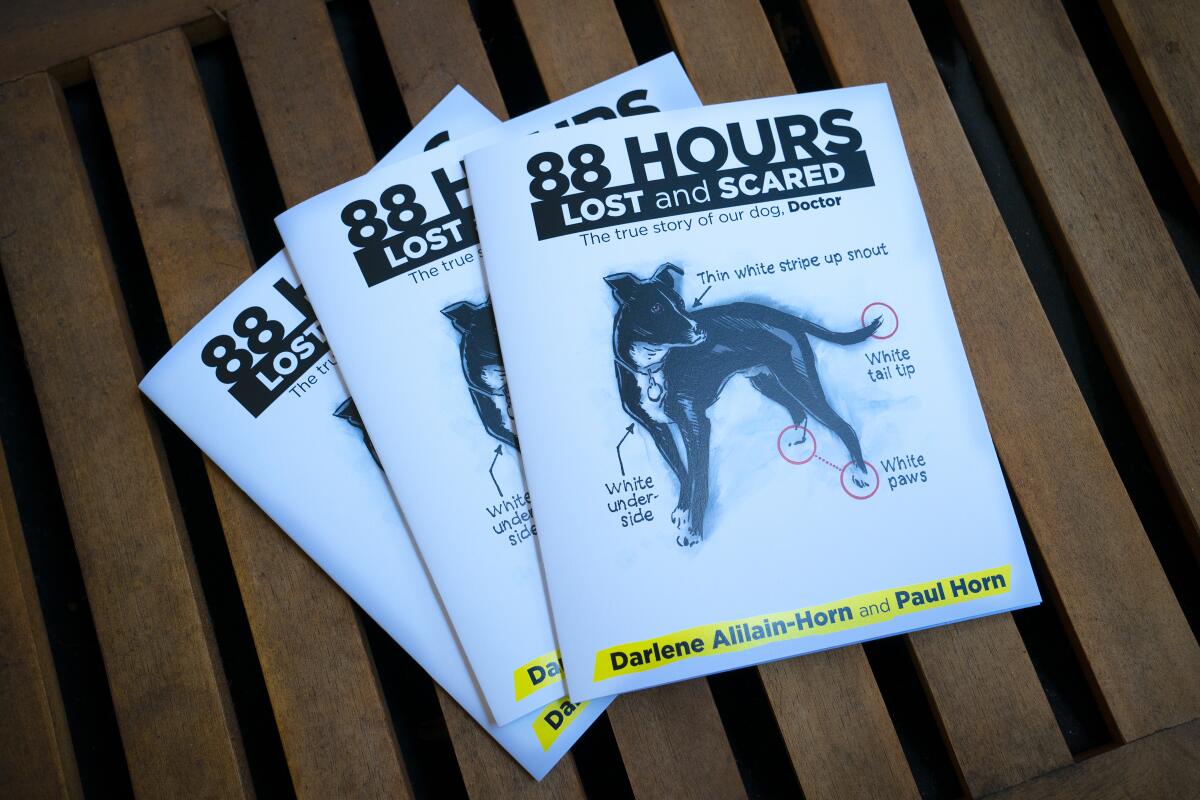 Copies of "88 Hours: Lost and Scared," by Darlene Alilain-Horn and Paul Horn.  