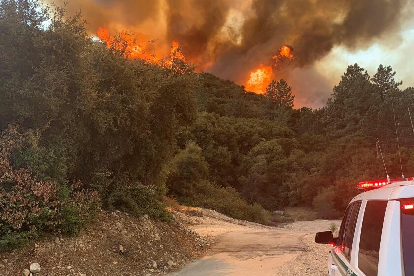 As of Sunday afternoon, the Bobcat fire in Angeles National Forest had burned an estimated 1,000 acres.