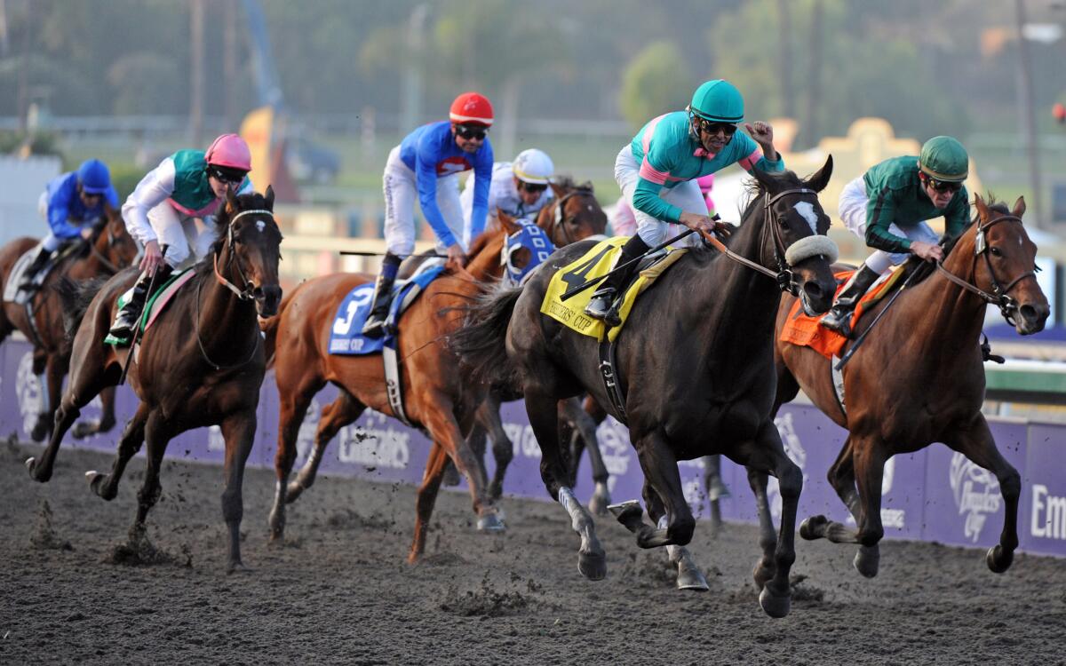 Mike Smith celebrates as Zenyatta gallops to victory in the $5-million Breeders' Cup Classic at Santa Anita on Nov. 7, 2009.