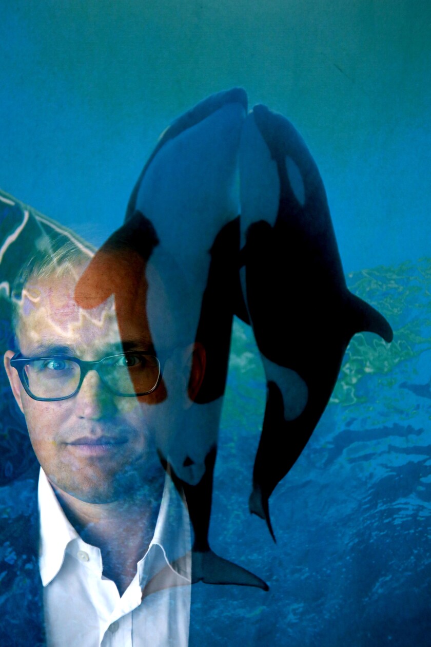 Matthew Strugar's image superimposed over a postcard of two orcas.