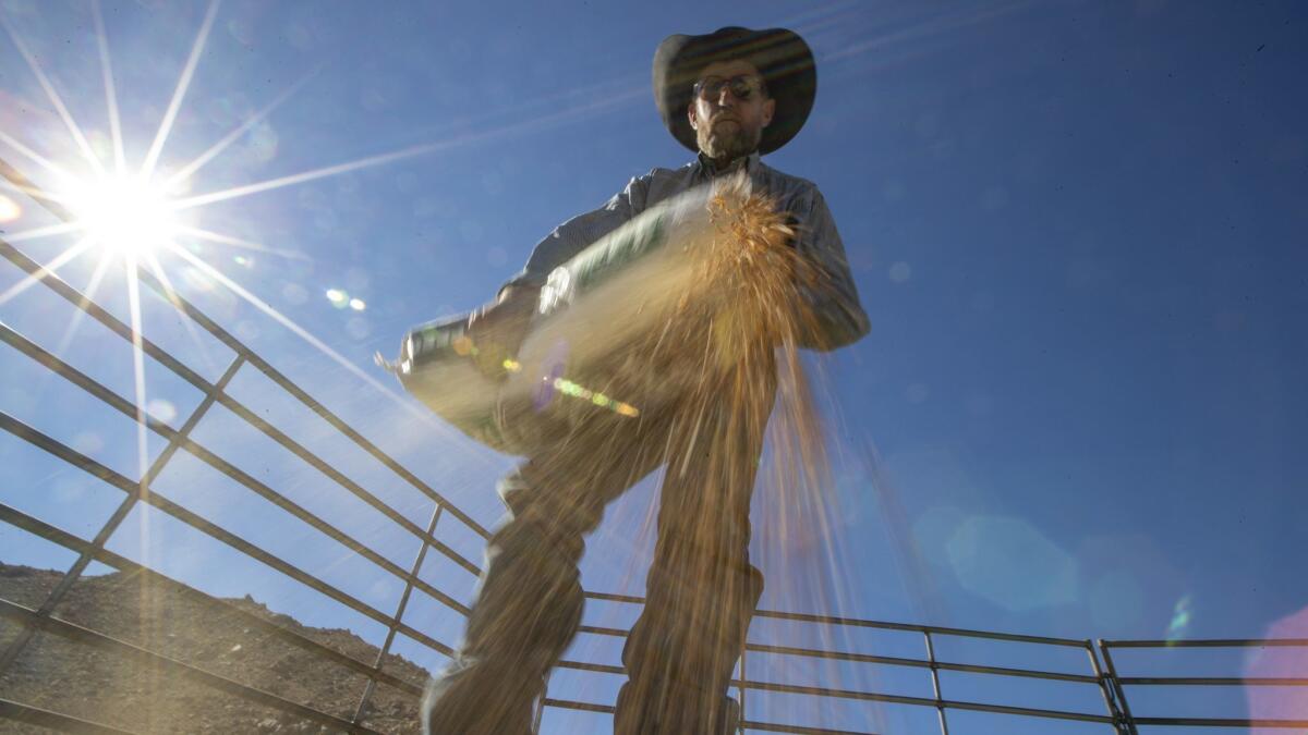 Troy Cattoor, a contractor for Peaceful Valley Donkey Rescue, pours out feed grain inside a pen.