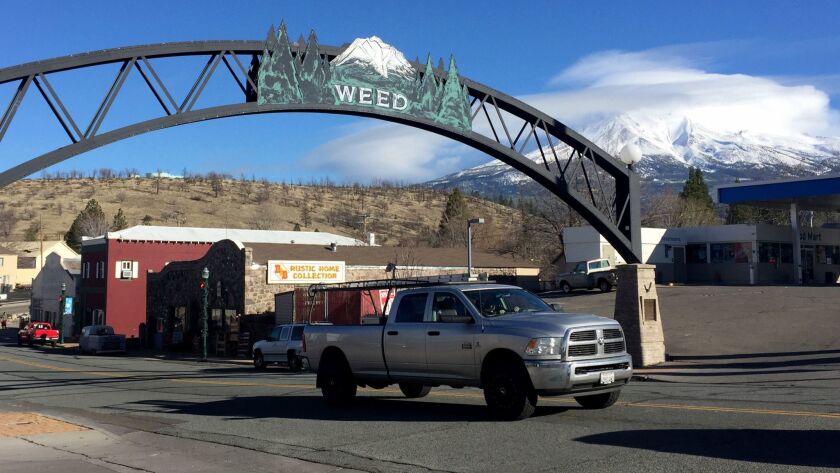 In Weed, a town that has cleverly marketed its marijuana joint-associated name to sell shirts, mugs and other merchandise with slogans like 'Enjoy Weed,' only about 16% of the residents are Latino.