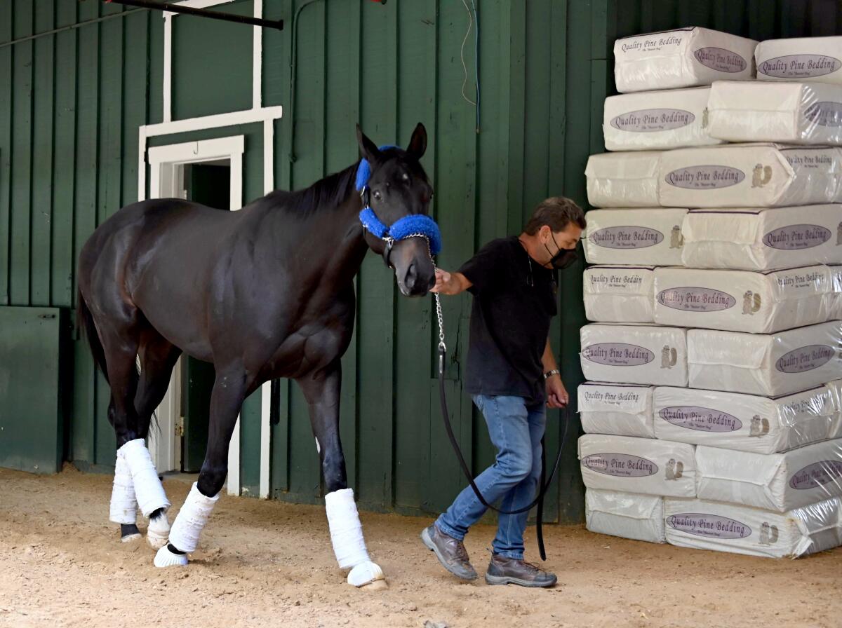 El campeón de Derbi de Kentucky Medina Spirit  