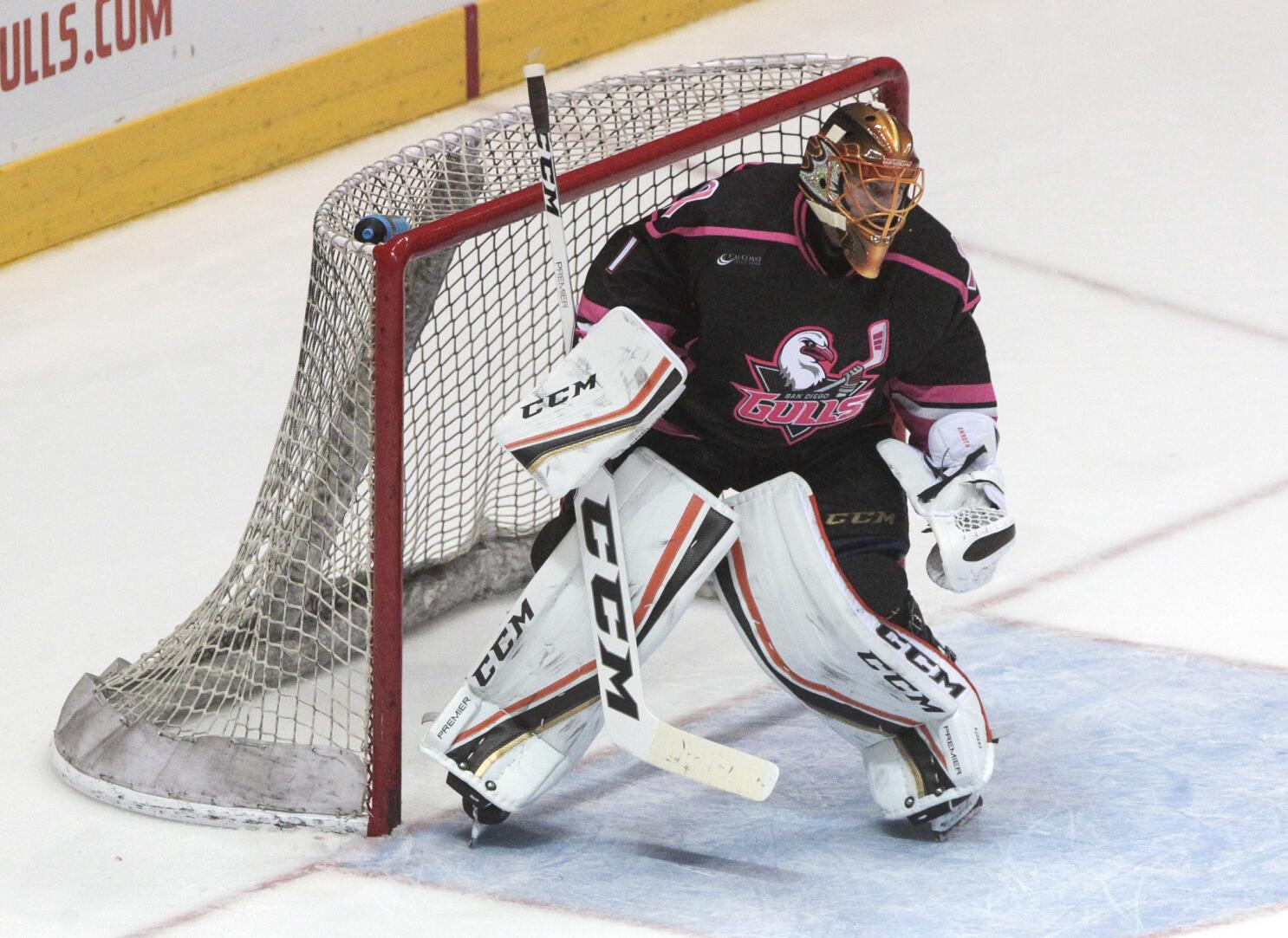 San Diego Gulls - Good luck Padres! We can't wait to see you at home next  week 