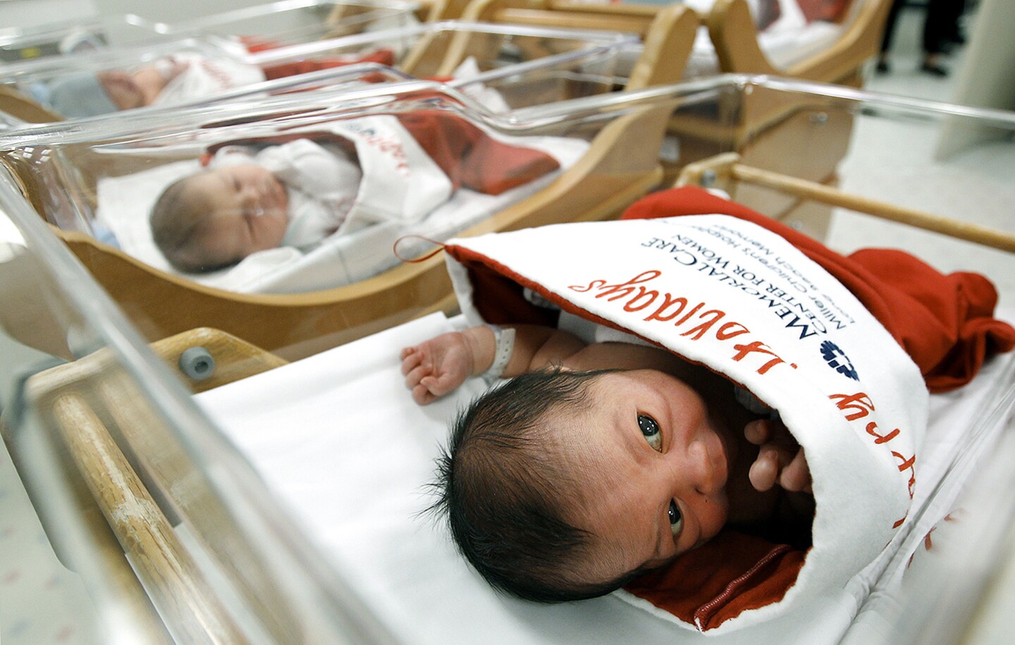 Download Newborn babies wrapped in Christmas stockings - Los ...