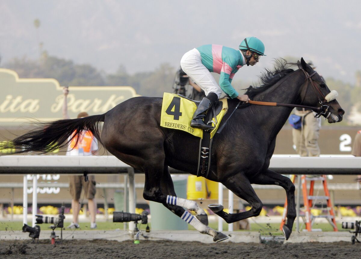 Mike Smith rides Zenyatta to victory in the Breeders' Cup Classic at Santa Anita Park in November 2009.