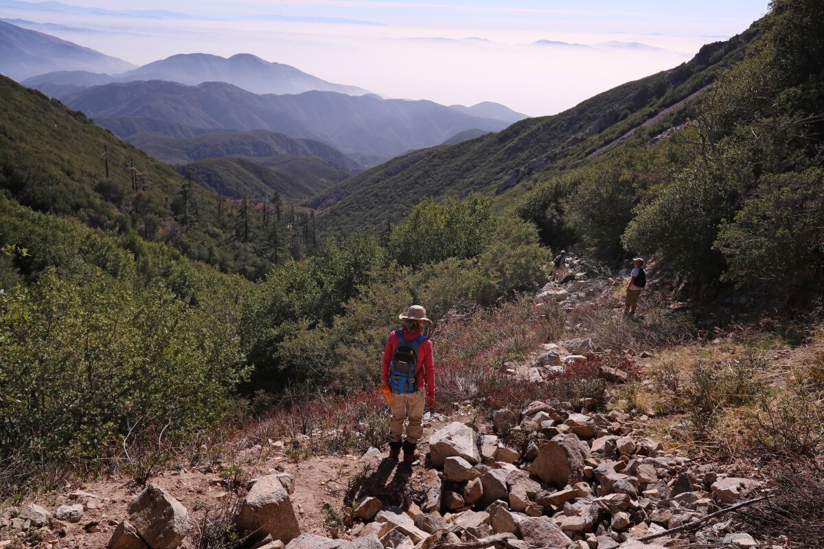 A hiker walks through the San Bernardino National Forest.