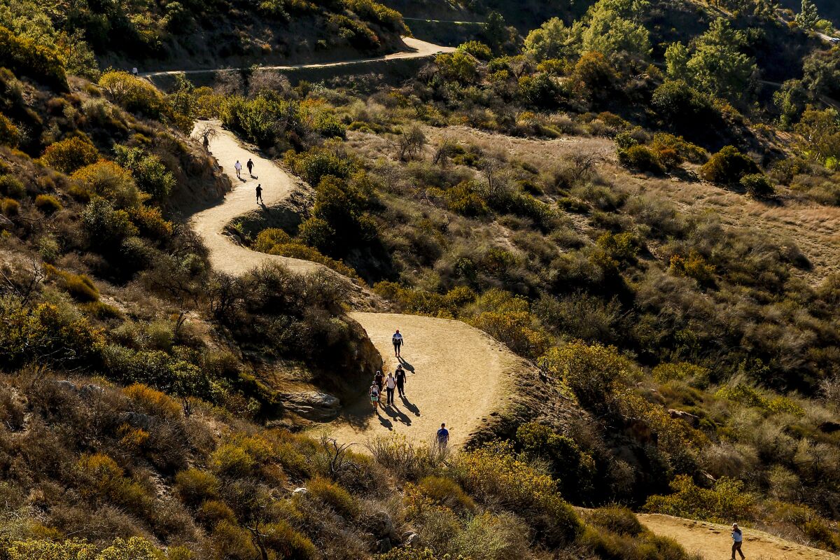 Aerial view of hiking trails in Griffith Park