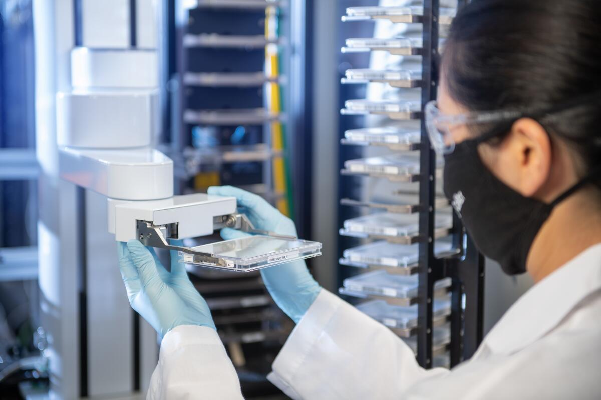 A researcher in the high-throughput screening facility at Calibr, the drug discovery division of Scripps Research.