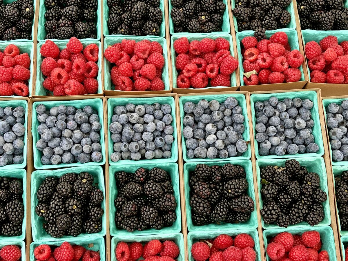 Berries at District at Tustin Legacy farmers market.