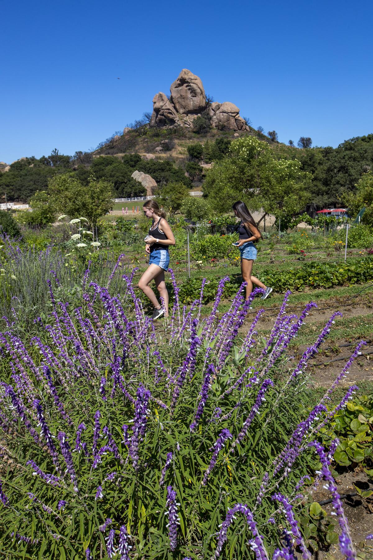 Two women on the Malibu Wine Hike at Saddlerock Ranch Estate.