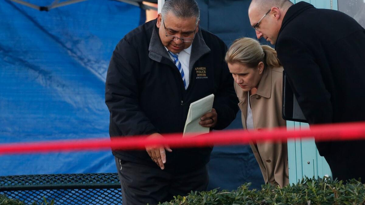 Investigators from the Anaheim Police Department search for evidence where a man was found stabbed to death near Magnolia Avenue and Ball Road in Anaheim.