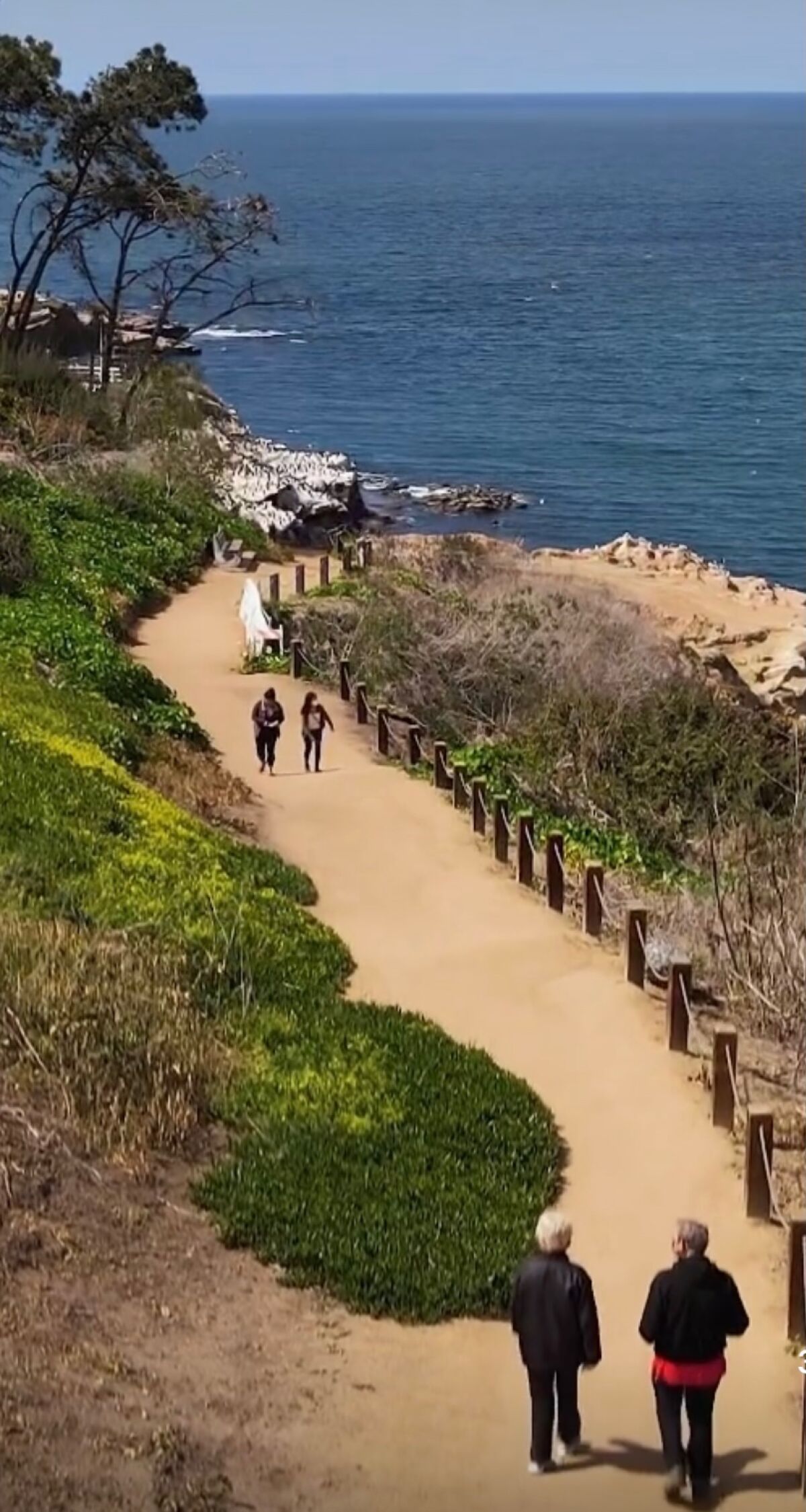 Coast Walk Trail in La Jolla is nominated for the Vernacular Architecture Forum Advocacy Award.