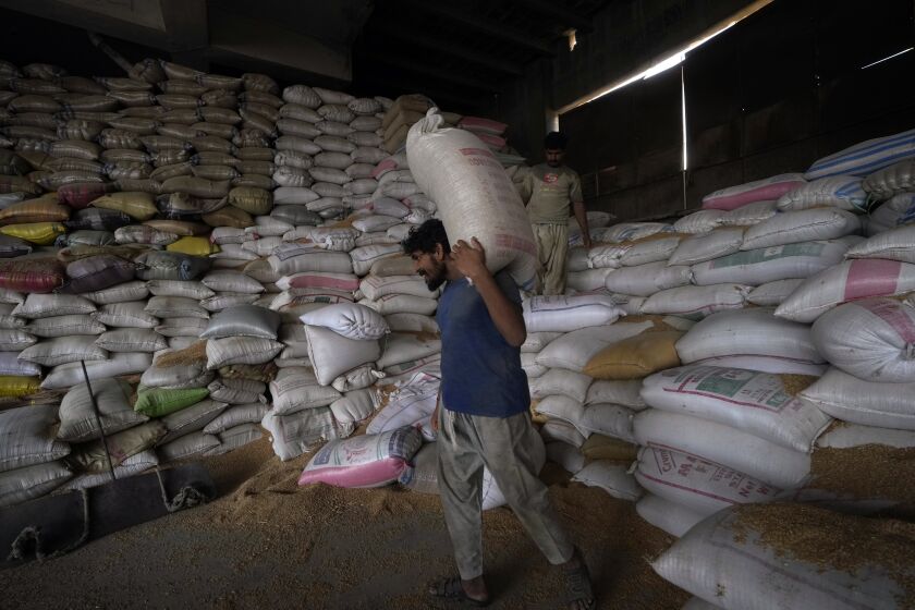 Un trabajador paquistaní carga sacos de trigo en un almacén, el miércoles 26 de julio de 2023, en Karachi, Pakistán. (AP Foto/Fareed Khan)