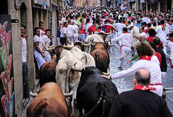 People stampede ahead of the cattle at the festival of San Fermín. Though the bull run is the main attraction, the weeklong festival includes other traditional events.